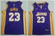 Youth Nike Los Angeles Lakers #23 LeBron James purple basketball jerseys-TY