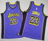 Youth Jordan logo Los Angeles Lakers #23 LeBron James purple NBA Basketball jerseys -TY