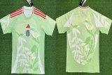 2025-2026 European Championship Italy team green Women soccer jerseys away